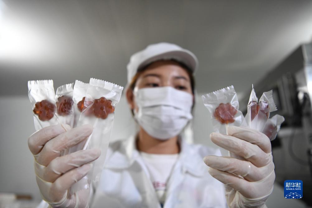 赢钱可提现正规游戏
